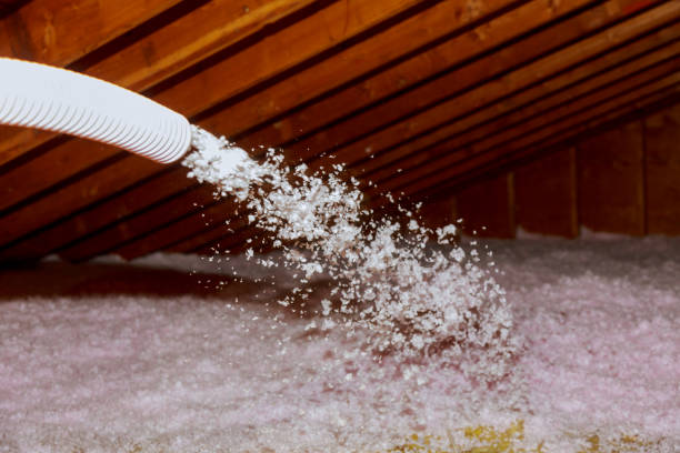Best Residential Insulation in Lake Stickney, WA