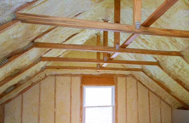 Best Specialized Insulation Services in Lake Stickney, WA