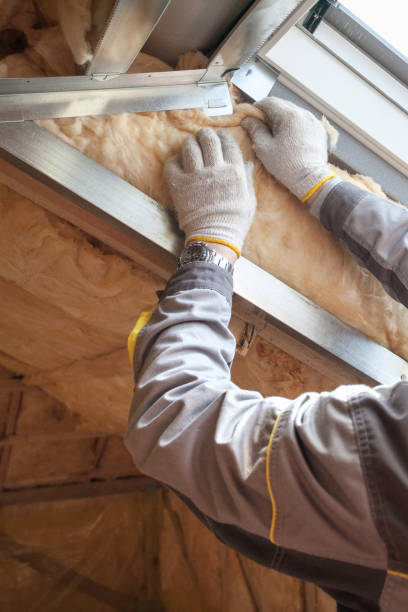 Types of Insulation We Offer in Lake Stickney, WA