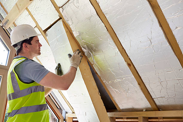 Best Eco-Friendly Insulation in Lake Stickney, WA