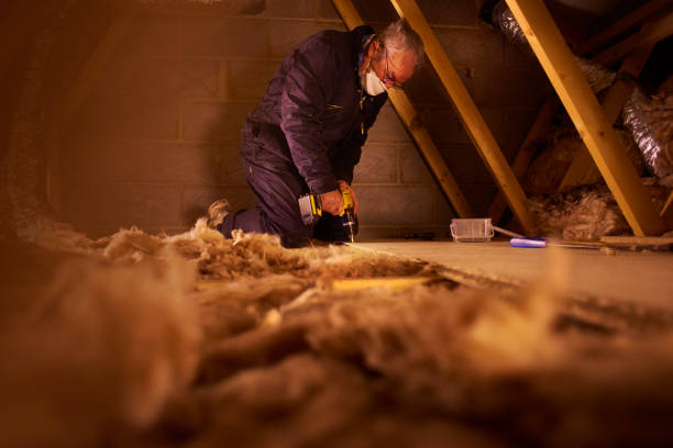 Best Specialized Insulation Services in Lake Stickney, WA